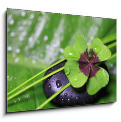 Sklenn obraz 1D - 100 x 70 cm F_E29036360 - Im Einklang mit der Natur - V souladu s prodou