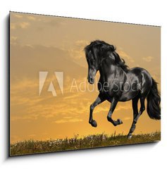 Obraz 1D - 100 x 70 cm F_E29158232 - black horse runs gallop - ern k b cval