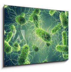 Sklenn obraz 1D - 100 x 70 cm F_E294688255 - Pathogenic Salmonella Bacteria, Microbiological research