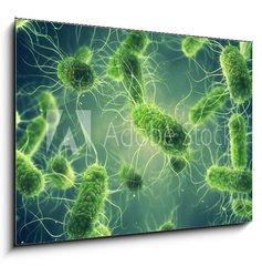 Obraz 1D - 100 x 70 cm F_E294688255 - Pathogenic Salmonella Bacteria, Microbiological research