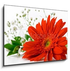 Obraz 1D - 100 x 70 cm F_E29541402 - bouquet con gerbera