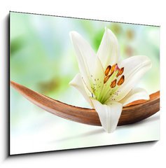 Obraz 1D - 100 x 70 cm F_E29781120 - Beautiful white lily flower on a coco palm leaf