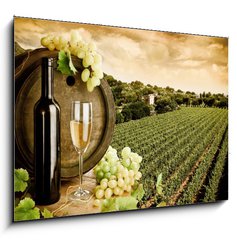 Sklenn obraz 1D - 100 x 70 cm F_E29883743 - Wine and vineyard in vintage style