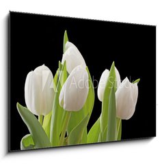 Sklenn obraz 1D - 100 x 70 cm F_E29886850 - Tulips