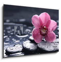 Sklenn obraz 1D - 100 x 70 cm F_E30028314 - still life with pebble and macro of orchid with water drops - zti s oblzky a makro orchidea s vodn kapky