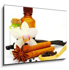Obraz 1D - 100 x 70 cm F_E30175954 - Cinnamon, vanilla bean and star anise