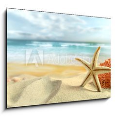 Sklenn obraz 1D - 100 x 70 cm F_E30407391 - Starfish on the Beach