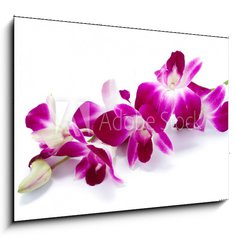 Sklenn obraz 1D - 100 x 70 cm F_E30514912 - Orchidea