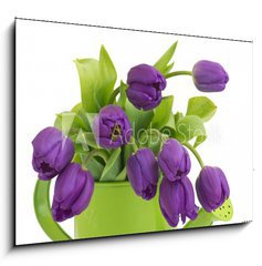 Obraz 1D - 100 x 70 cm F_E30636217 - bunch of violet tulips