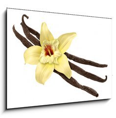 Obraz 1D - 100 x 70 cm F_E30979053 - Vanilla Bean and Flower (clipping path) - Vanilkov fazole a kvtina (oezov cesta)