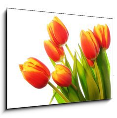 Obraz 1D - 100 x 70 cm F_E31031633 - Tulips bouquet