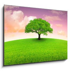 Sklenn obraz 1D - 100 x 70 cm F_E3120144 - arbre sur prairie