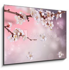 Sklenn obraz 1D - 100 x 70 cm F_E31669597 - Spring Blossom Design