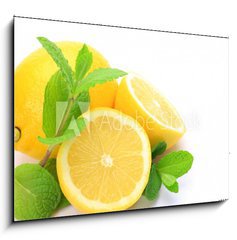 Obraz 1D - 100 x 70 cm F_E31769768 - lemon and mint