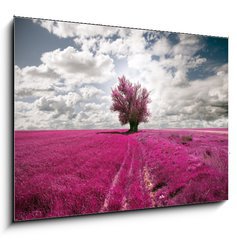 Obraz 1D - 100 x 70 cm F_E31846584 - oniric landscape and tree
