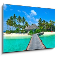 Obraz 1D - 100 x 70 cm F_E31946624 - Maldives island Panorama