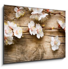 Obraz 1D - 100 x 70 cm F_E31985632 - Wood background with spring blossom - Devn pozad s jarn kvty