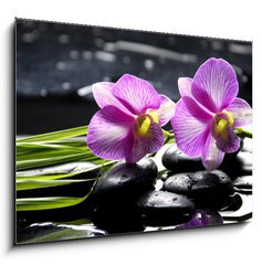 Obraz   Oriental spa with orchid with and green plant on zen stones, 100 x 70 cm