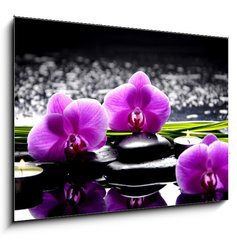 Obraz   Spa still life with set of pink orchid and stones reflection, 100 x 70 cm