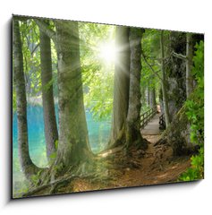 Obraz 1D - 100 x 70 cm F_E32267229 - Sonnenschein im Wald neben klarem See