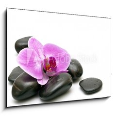 Obraz 1D - 100 x 70 cm F_E32282499 - Pink orchid and zen Stones on a white background - Rov orchidej a zen kameny na blm pozad