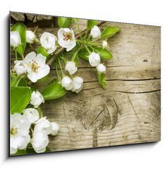 Obraz 1D - 100 x 70 cm F_E32351313 - Spring Blossom over wooden background - Jarn kvt na devnm pozad