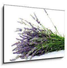 Obraz 1D - 100 x 70 cm F_E32774353 - Lavender