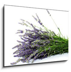 Obraz 1D - 100 x 70 cm F_E32774353 - Lavender - Levandule