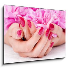 Sklenn obraz 1D - 100 x 70 cm F_E32839769 - Woman cupped hands with manicure holding a pink flower