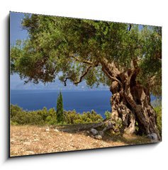 Sklenn obraz 1D - 100 x 70 cm F_E33058349 - Griechische Inseln