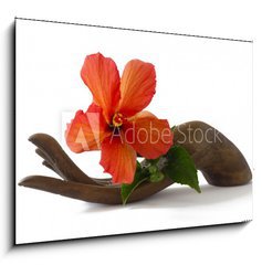 Obraz 1D - 100 x 70 cm F_E33085231 - Red hibiscus on a wooden hand statuette