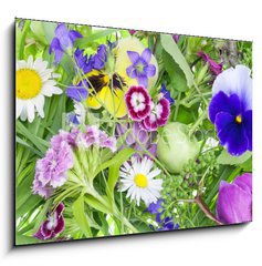 Obraz   Abstract June plants and flowers background, 100 x 70 cm