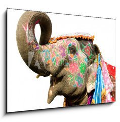 Obraz 1D - 100 x 70 cm F_E33964152 - hand painted elephant profile, Jaipur, Rajasthan,India