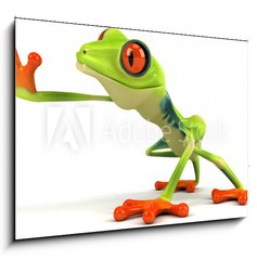 Sklenn obraz 1D - 100 x 70 cm F_E34469383 - Grenouille