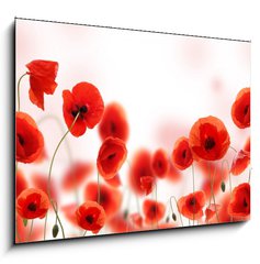 Obraz 1D - 100 x 70 cm F_E34583820 - Poppy field