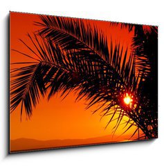 Obraz 1D - 100 x 70 cm F_E3480088 - palm tree during sunset