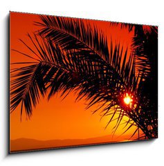 Sklenn obraz 1D - 100 x 70 cm F_E3480088 - palm tree during sunset