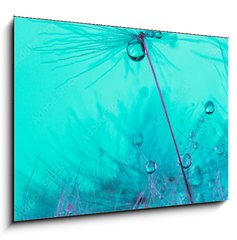Obraz 1D - 100 x 70 cm F_E348565950 - Parachute seed from a dandelion on a blue background