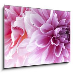 Sklenn obraz 1D - 100 x 70 cm F_E35120872 - Dahlia - Jiina