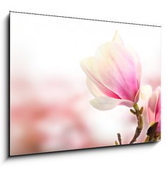 Sklenn obraz 1D - 100 x 70 cm F_E35301242 - pink flower - rov kvt
