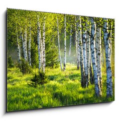 Sklenn obraz 1D - 100 x 70 cm F_E353870391 - Spring green foliage