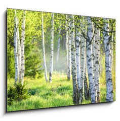 Obraz 1D - 100 x 70 cm F_E363600583 - Spring green foliage