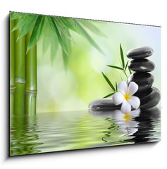 Obraz 1D - 100 x 70 cm F_E36696469 - spa stones with frangipani