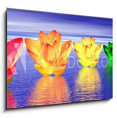 Sklenn obraz 1D - 100 x 70 cm F_E37014590 - Lily flowers chakras by night