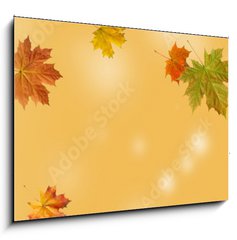 Obraz 1D - 100 x 70 cm F_E370583314 - autumn maple leaf