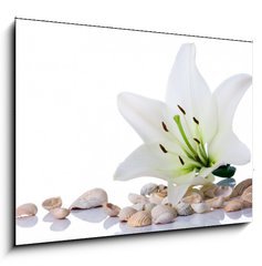 Sklenn obraz 1D - 100 x 70 cm F_E3753858 - spa flower  towel sea shell on white