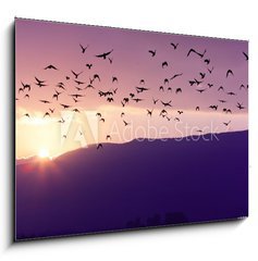 Sklenn obraz 1D - 100 x 70 cm F_E37700640 - Flock of Birds Flying at the Sunset above Mountian at the sunset