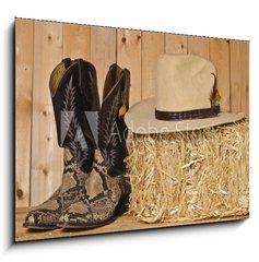 Obraz 1D - 100 x 70 cm F_E37950448 - Snakeskin cowboy boots - Hedvbn kovbojsk boty