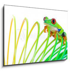 Obraz 1D - 100 x 70 cm F_E38488901 - Colorful Frog on a spring, coil toy