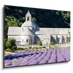Obraz   Senanque abbey with lavender field, Provence, France, 100 x 70 cm